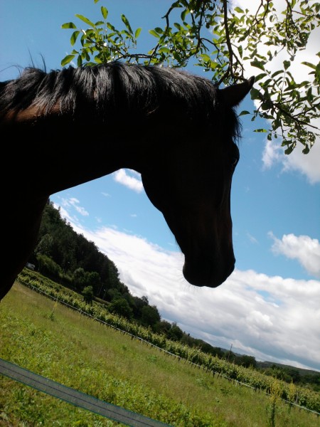 Photo de profil de loulou46