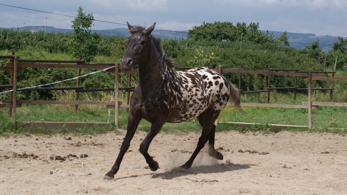 Photo de profil de utika