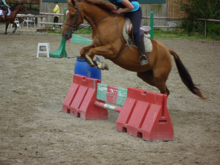 Photo de profil de celleval