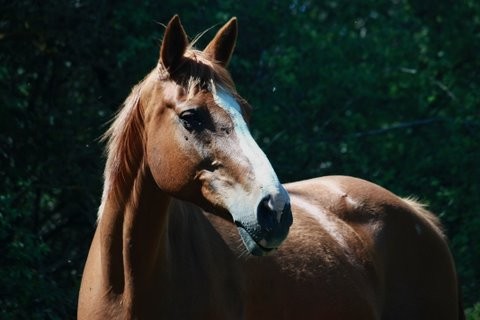 Photo de profil de starbuck