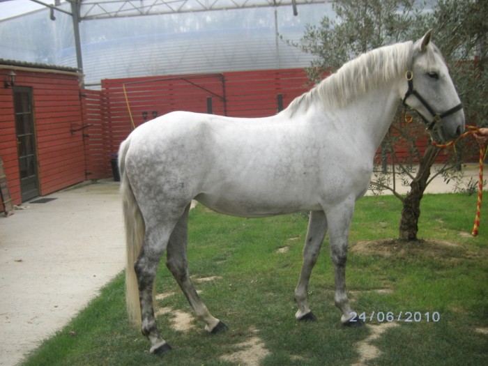 Photo de profil de missdjess