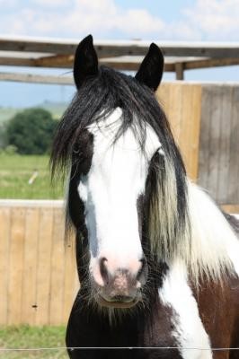 Photo de profil de kaline38