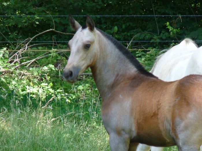 Photo de profil de unaya