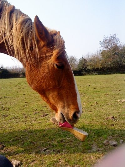 Photo de profil de charlene76950