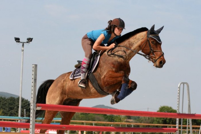 Photo de profil de fanu26