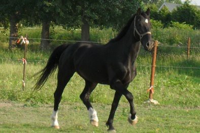 Photo de profil de hugodu6910