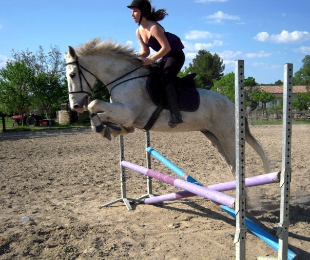 Photo de profil de ecuriedelisz