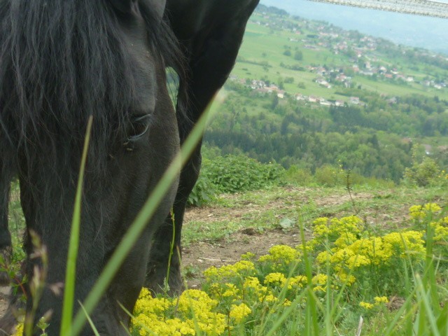 Photo de profil de vivianeb74