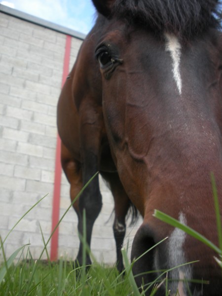 Photo de profil de popoch