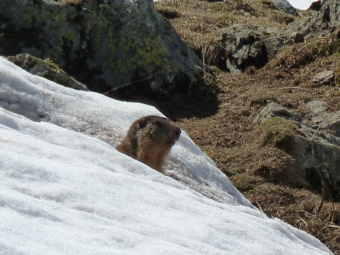 Photo de profil de chariotte