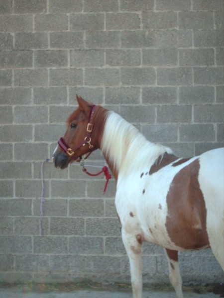 Photo de profil de ellyka