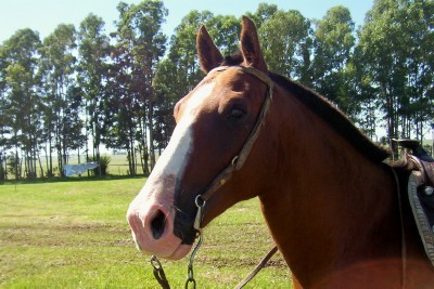 Photo de profil de marionf13