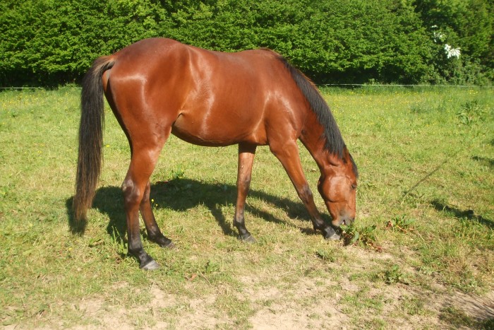 Photo de profil de guy1944