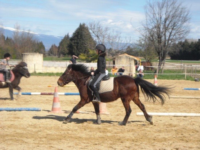 Photo de profil de rosedesvent