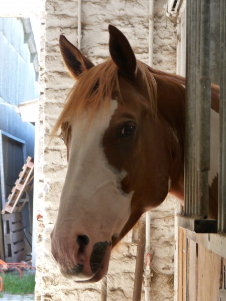 Photo de profil de tabasco2