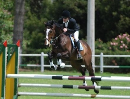 Photo de profil de bruno.cso