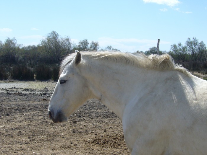 Photo de profil de nabuco95