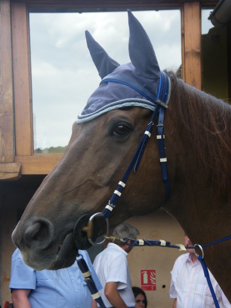 Photo de profil de espoir67