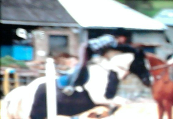 Photo de profil de c0ntiinus