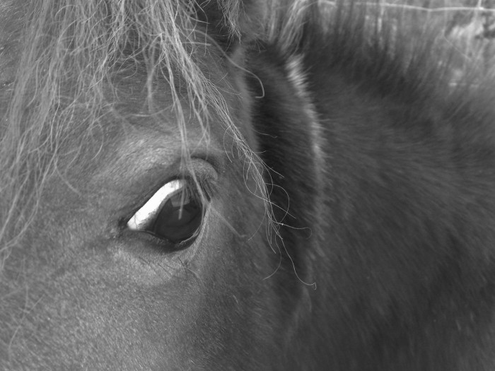 Photo de profil de xmadysson