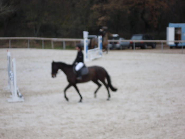 Photo de profil de luceros1301