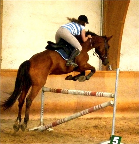 Photo de profil de megane42