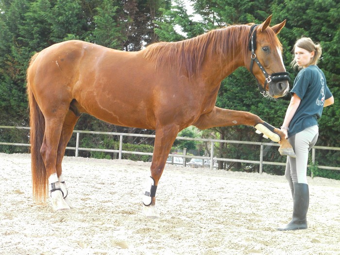 Photo de profil de quasim94