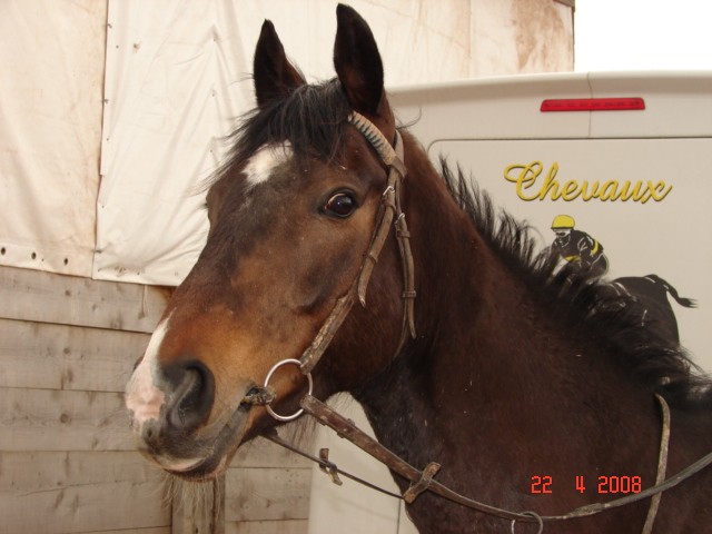 Photo de profil de klass