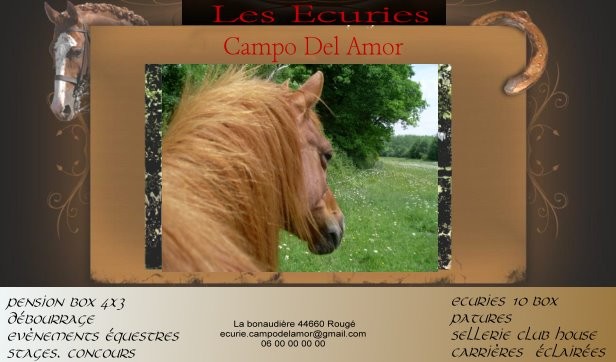 Photo de profil de campo