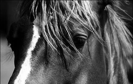 Photo de profil de dahran