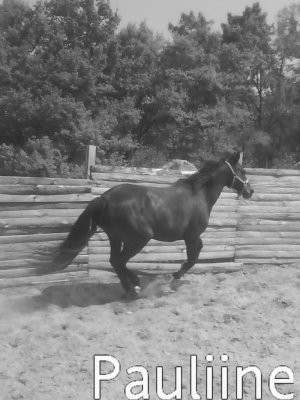 Photo de profil de colacoca