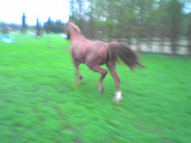 Photo de profil de milie34