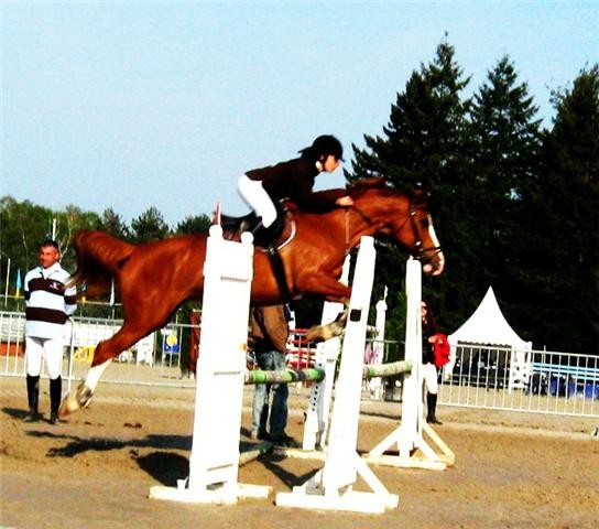 Photo de profil de lylith