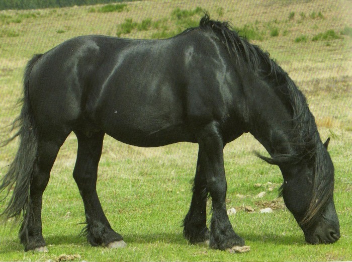 Photo de profil de nanouche1