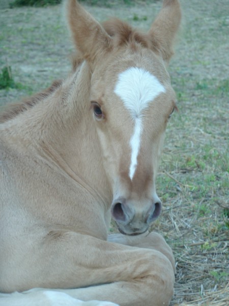 Photo de profil de aragon30