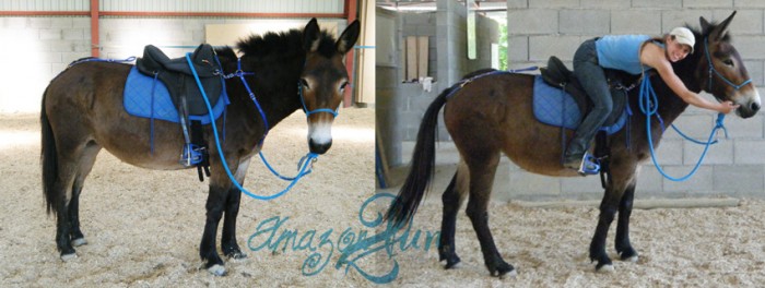 Photo de profil de aqwaqw