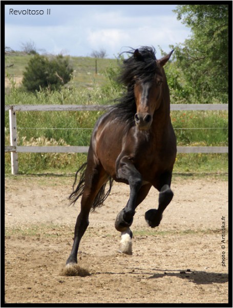 Photo de profil de sam34