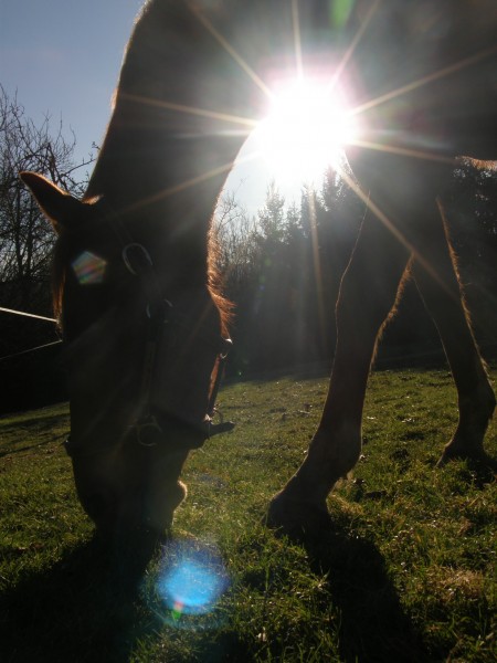 Photo de profil de jazz73