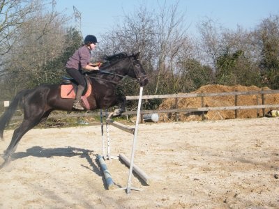 Photo de profil de omann