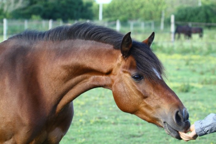 Photo de profil de delphine29