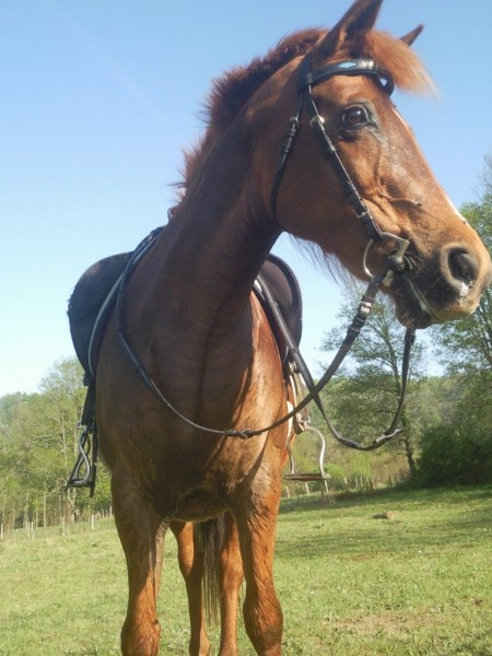 Photo de profil de crunchdoo