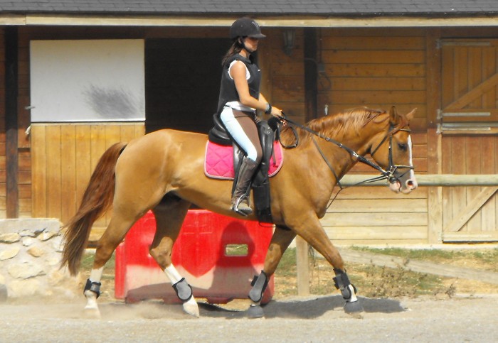 Photo de profil de mushena