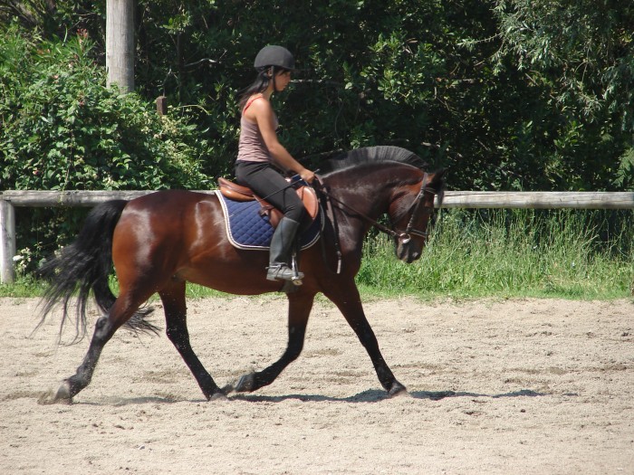 Photo de profil de erne06