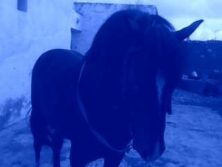 Photo de profil de hsn123