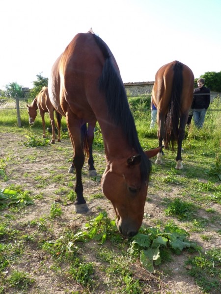 Photo de profil de lepicipaska