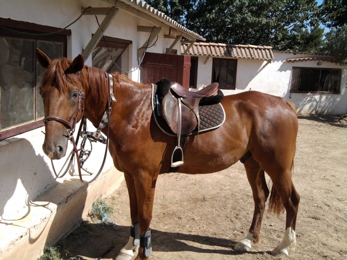 Photo de profil de ralphdeclecy