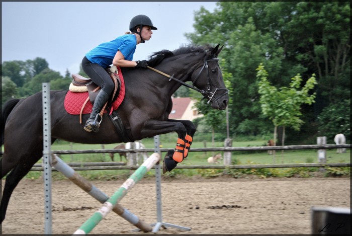 Photo de profil de laurannep