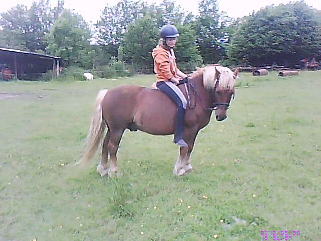 Photo de profil de misscrayon