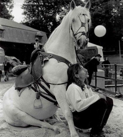 Photo de profil de windal83500