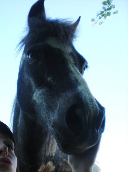 Photo de profil de syrup